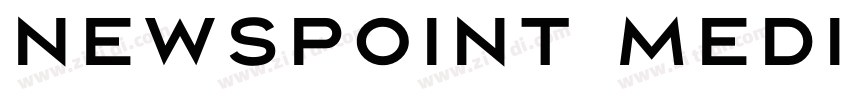 Newspoint Medium字体转换 Newspoint Medium字体转换